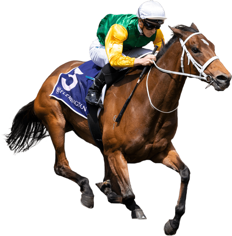 shillelagh 3.5 shillelagh 3.5