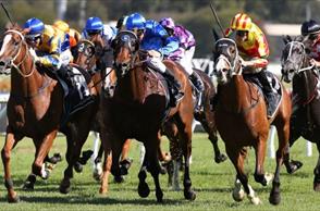 I’m Imposing and Chris Waller take out the Festival Stakes at Rosehill