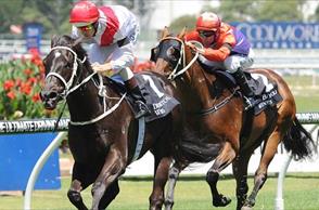 Waller Harried by Jet’s prospects after big win under heavy weight