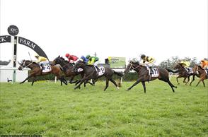 Waller colts dominate midweek meeting