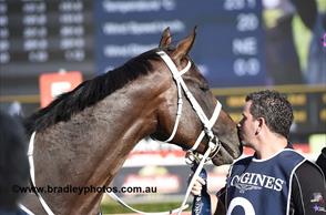 Winx ‘picture perfect’ for winter vacation after another imposing autumn