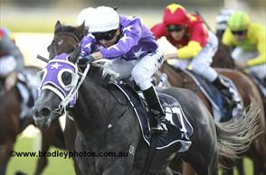 Foxplay emerges from Winx’s shadow