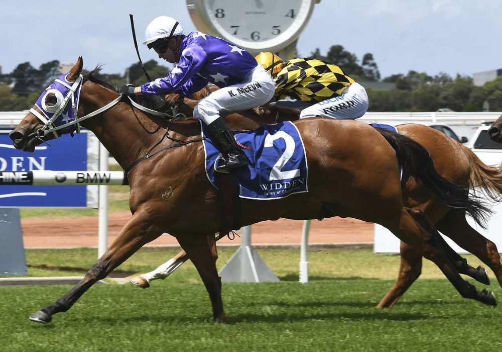 Fiesta digs deep to enhance Golden Slipper credentials for Chris Waller