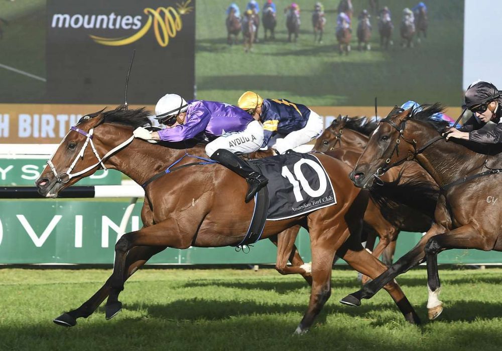 Cellarman wins Doncaster Prelude - CWR