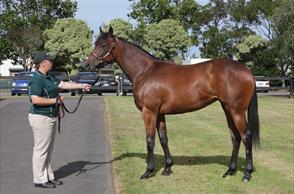 Promising Win for Chandana