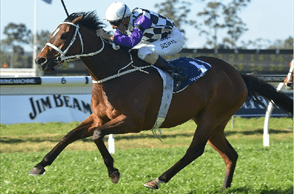 MORE TRICKS TO THIS ‘PONY’