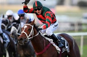 Chris Waller-trained Egg Tart set new standard with Doomben win