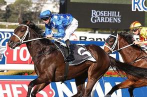 Hes Your Man Leads Home Waller Trifecta