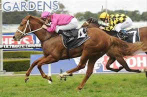 Inghams mark Coolmore win like their first