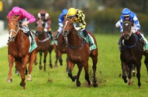 Chris Waller lands emotional winner for ‘grandfather’ supporter Bob Ingham