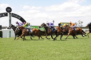 Metro Success for Stryker Filly