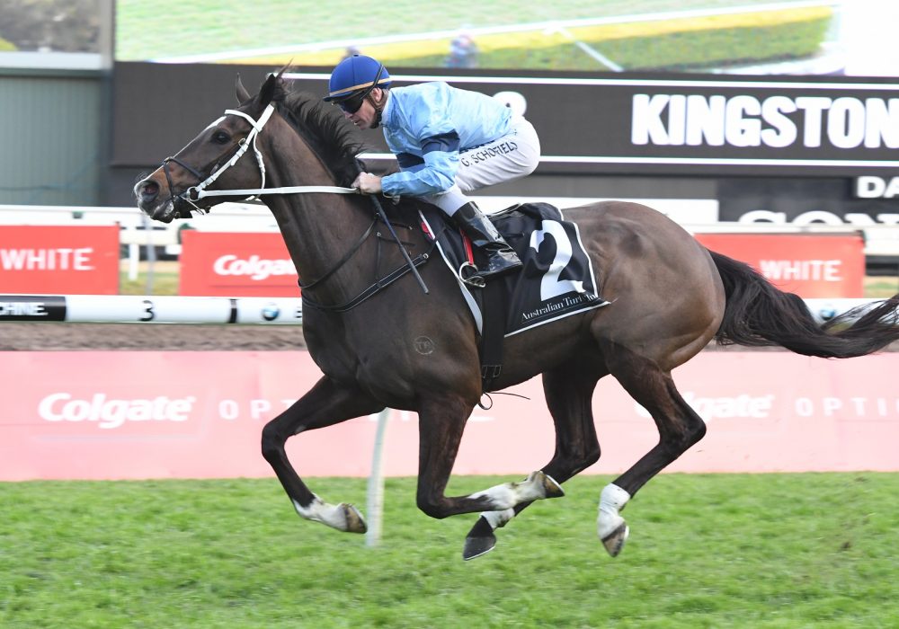 Waller wins another Kingston Town Stakes