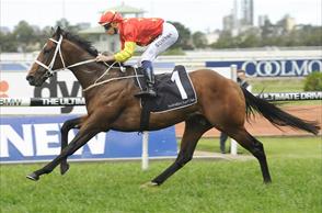Waller colt makes big Guineas Statement