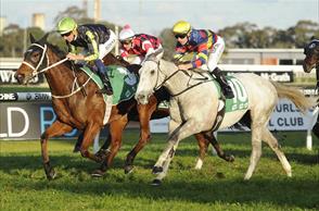 Start Wondering wins at Australian debut