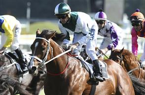 Vanbrugh wins Group One Spring Champion