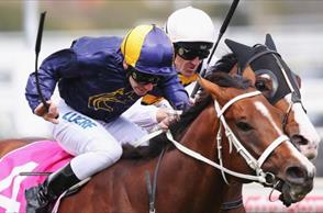 Chris Waller pleased Vanbrugh finds form