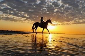 ‘Standard morning’ for Waller’s 2015 Caulfield Cup trio