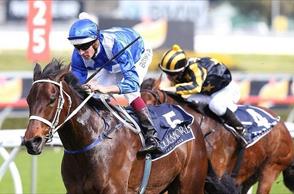 Winx as good as a nod in scoring a Furious Stakes victory at Randwick for Chris Waller
