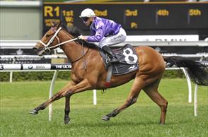 Invincible Debut Winner for Star