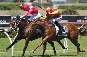 Hinchinbrook’s Madame gets the money