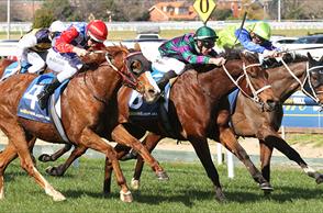 Prince produces perfect advertisement