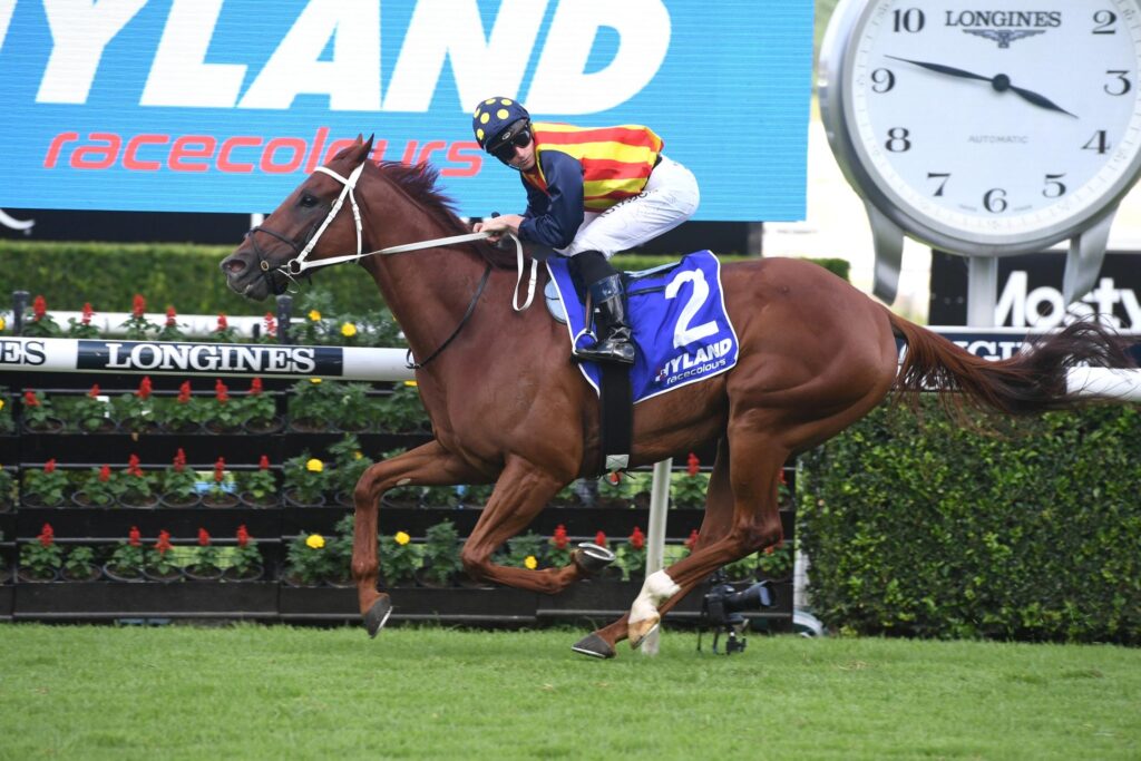 Nature Strip set to tackle small field first up