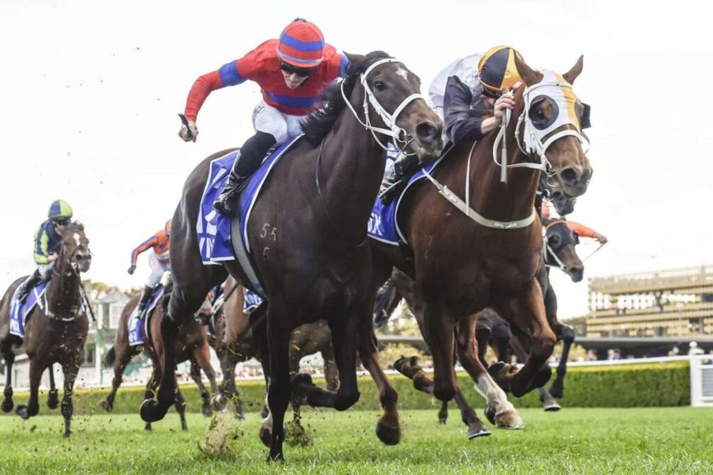 Verry Elleegant makes spring statement in Winx Stakes