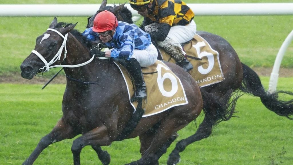 ‘Westies’ relying on their gun mare landing the Eagle