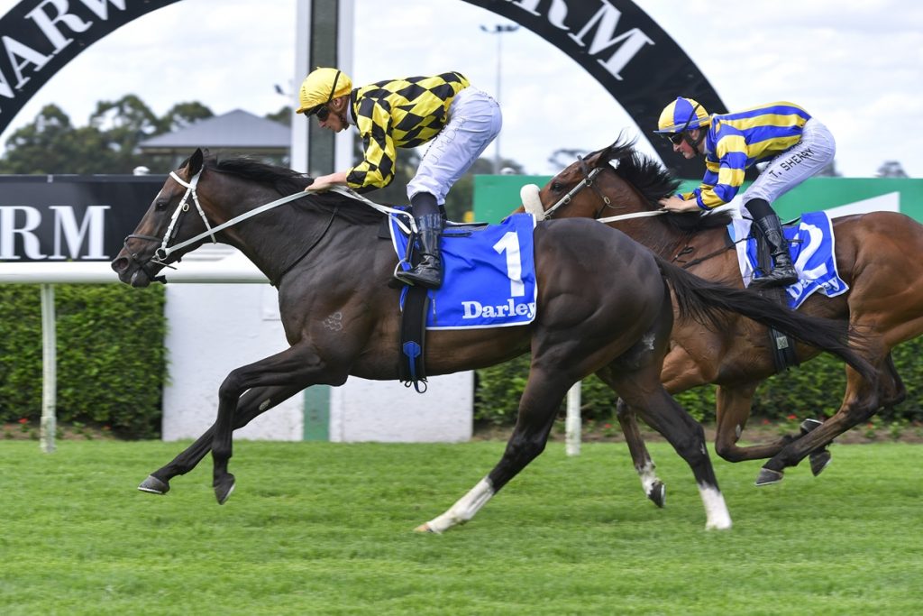 Arrowfield entire back in the winner’s stall