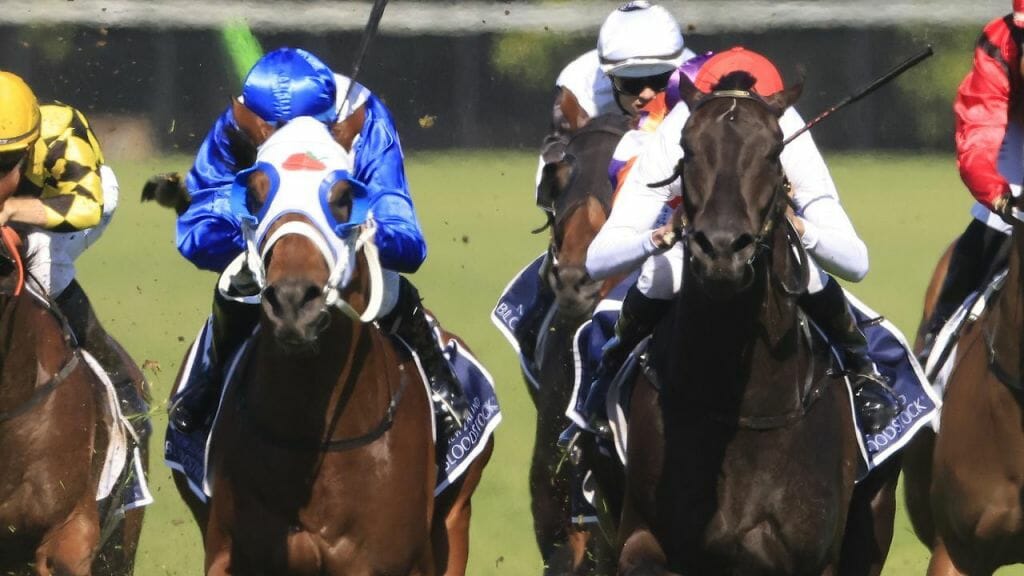 Berry backs Spring star to be a classic contender