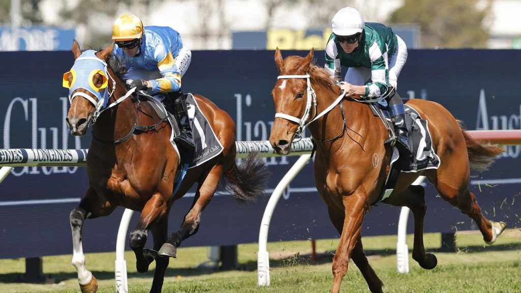 Chris Waller targets Surround Stakes with filly Hungry Heart