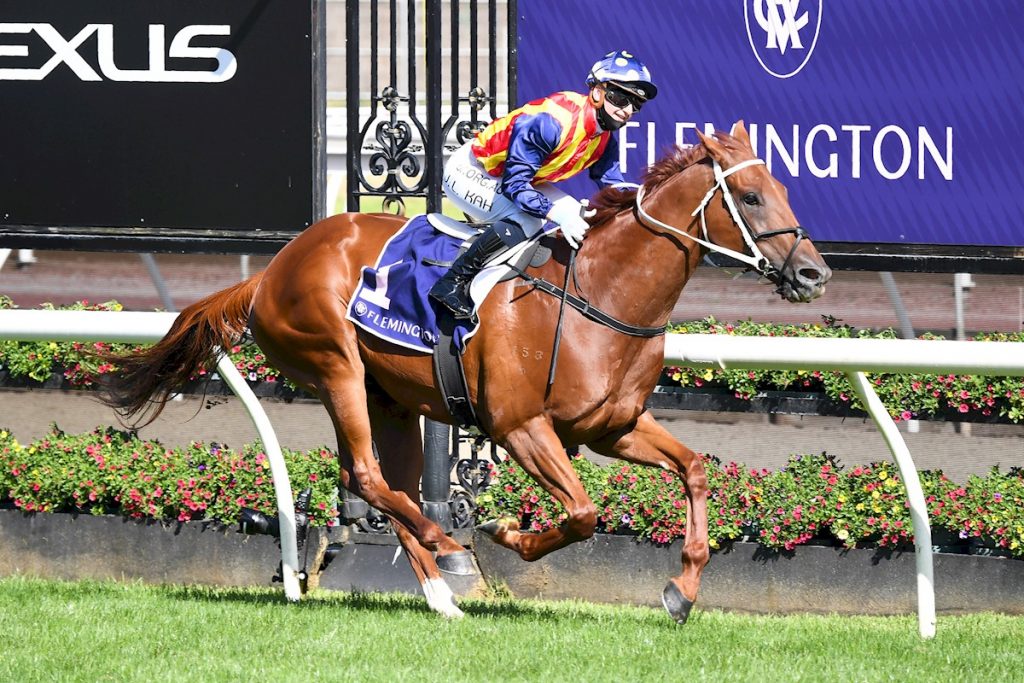 Black Caviar Lightning 2021 Winner: Nature Strip is Back!