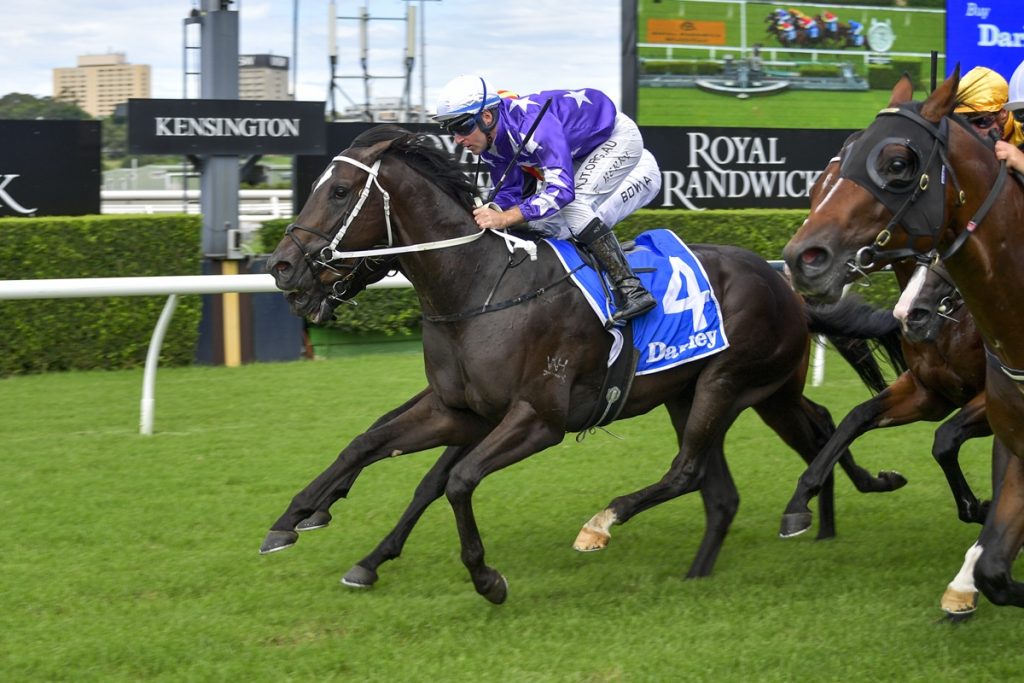 Chris Waller unveils another quality two-year-old