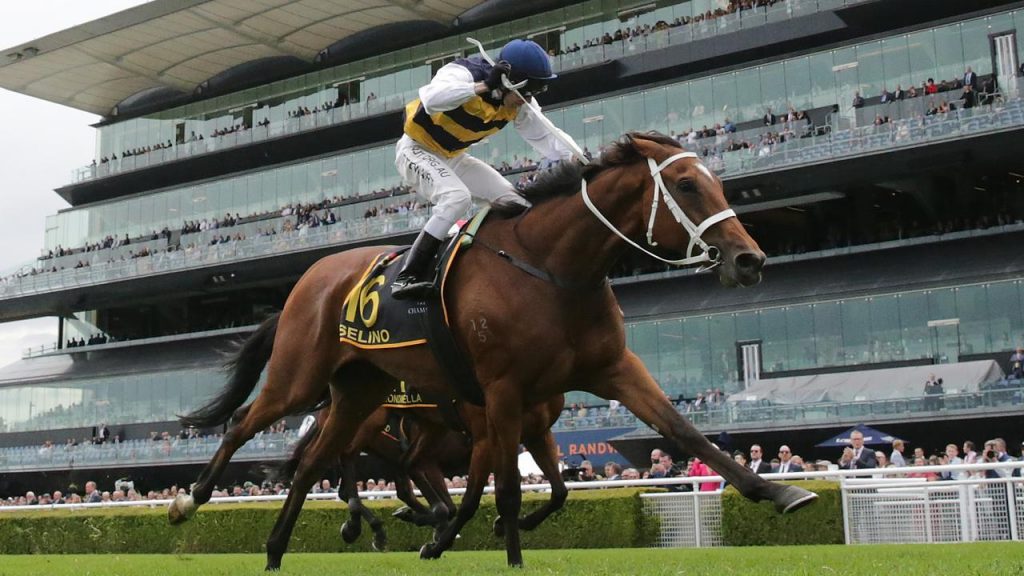 Staying capacity comes to the fore in Sydney Cup