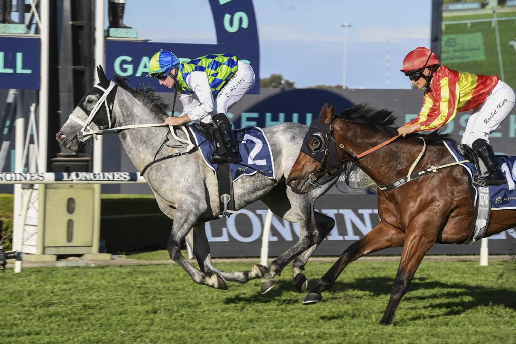 Lord Mayors Cup: Extra weight no worry for in-form mare Polly Grey