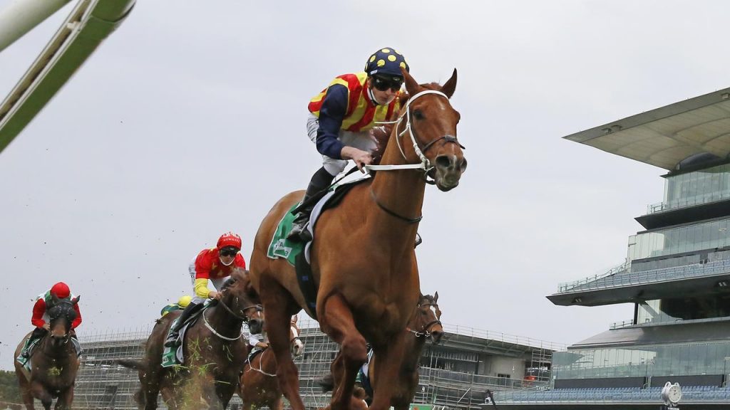 Afternoon stroll by Nature Strip in Concorde Stakes sets benchmark for The Everest