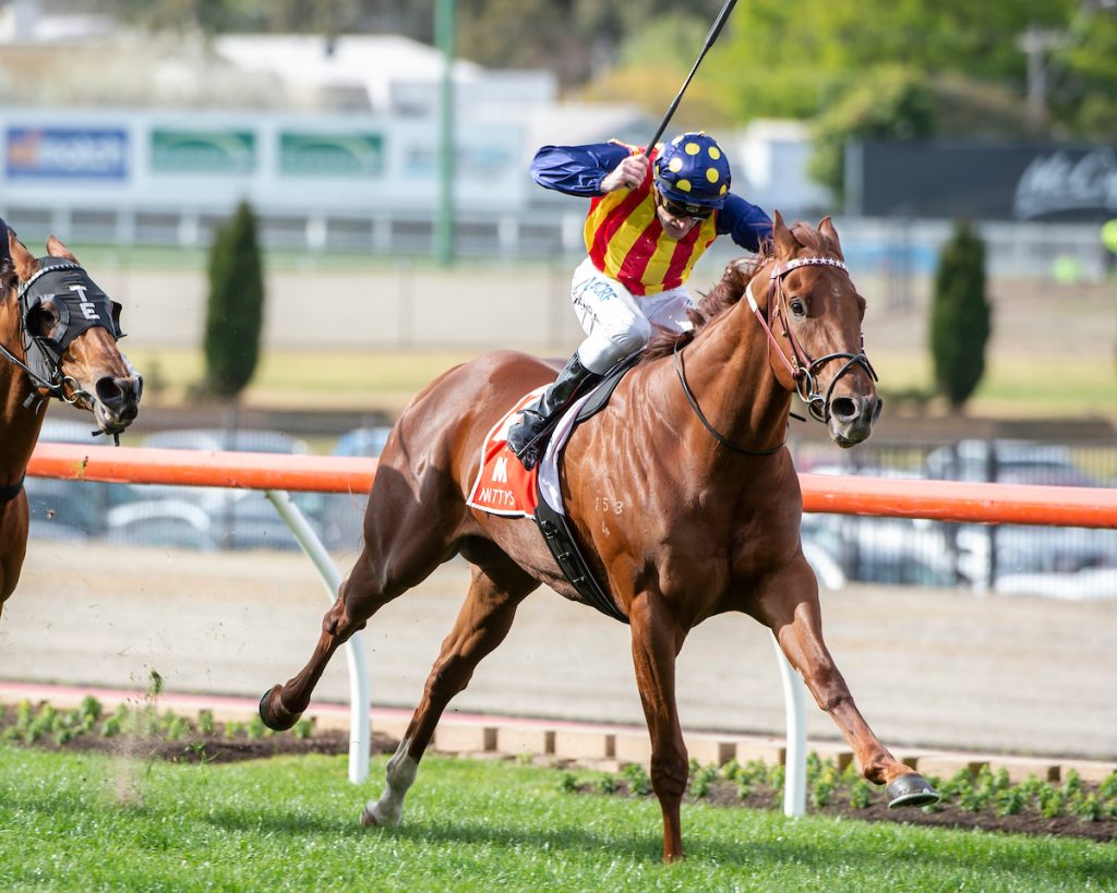 Second Sprint Classic for Nature Strip