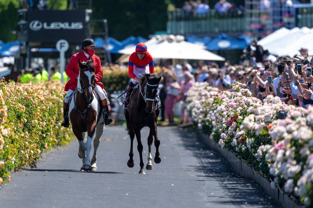 Star Kiwi trio orchestrate a Melbourne Cup fairytale