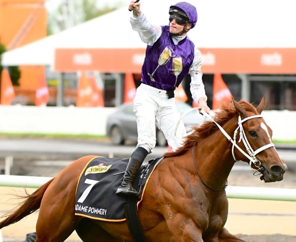 Madame Pommery benefits from J-Mac masterclass