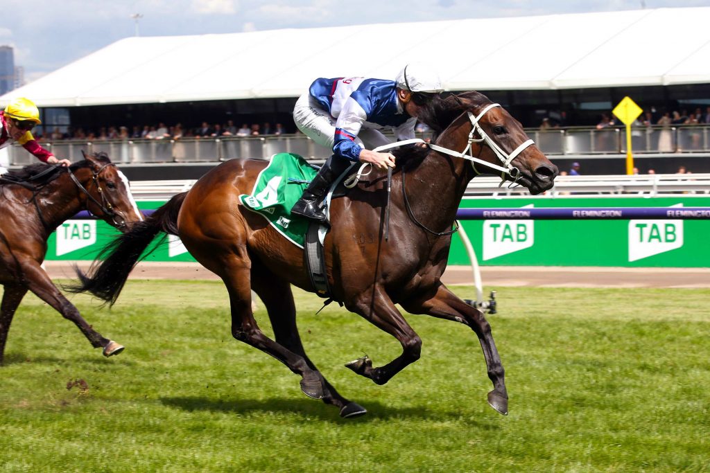 Atishu (NZ) Masters the Matriarch