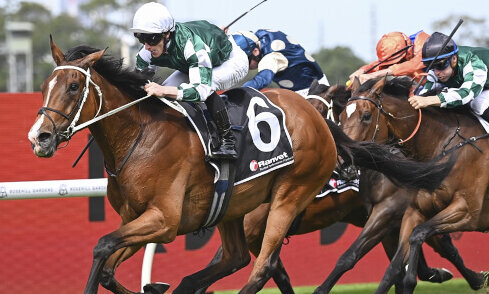 Via Sistina dominates G1 Ranvet