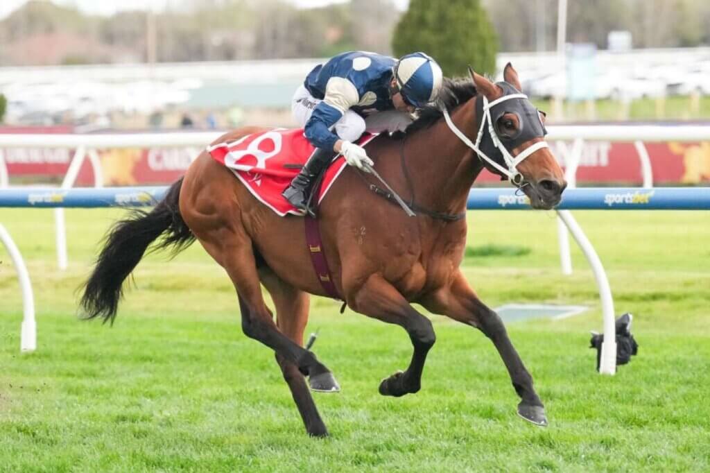 Buckaroo wins Group 1 Underwood Stakes