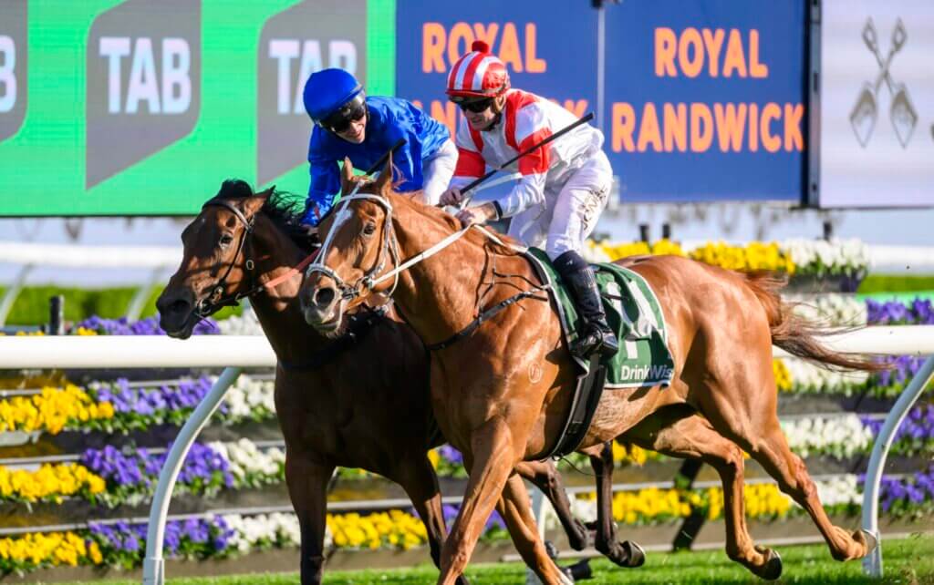 Land Legend Edges Out Zardozi in Thrilling Metropolitan Result