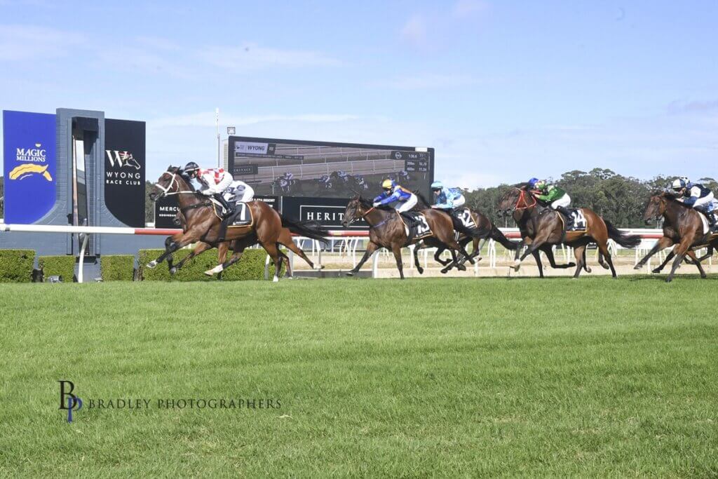 Collett rides Waterford to feature Wyong win