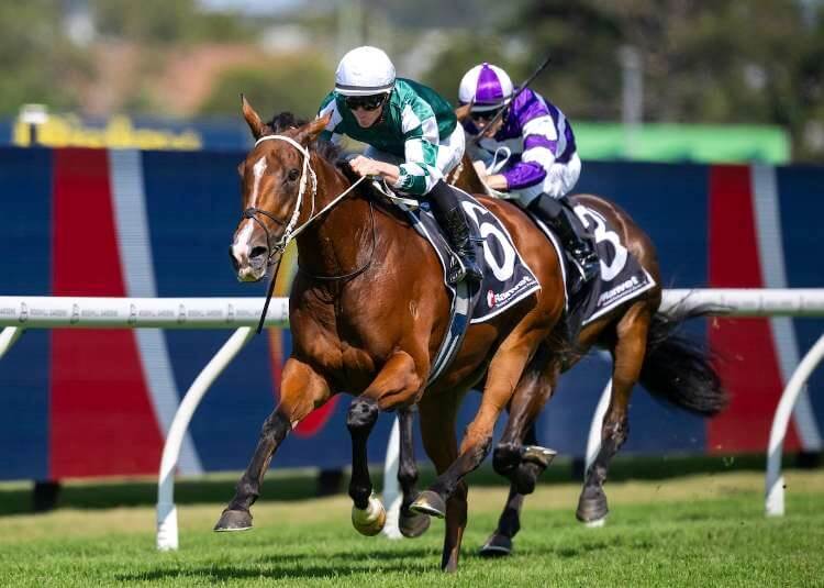 Via Sistina continues to bless connections