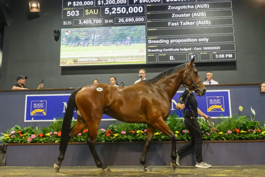 Zougotcha Sells for $5.25M at Red Hot National Broodmare Sale