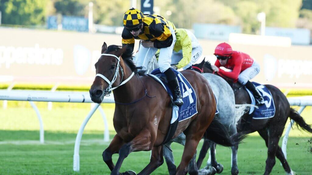 Joliestar sends Everest warning to Ka Ying Rising