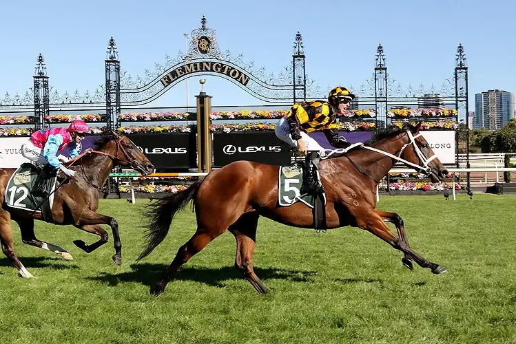 A Star, an Angel and a Lady vie for Expressway honours