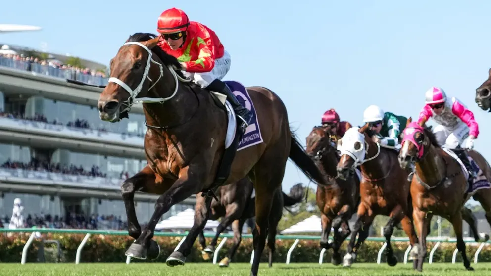 Sixties proves he won’t be just an Observer in Guineas clash