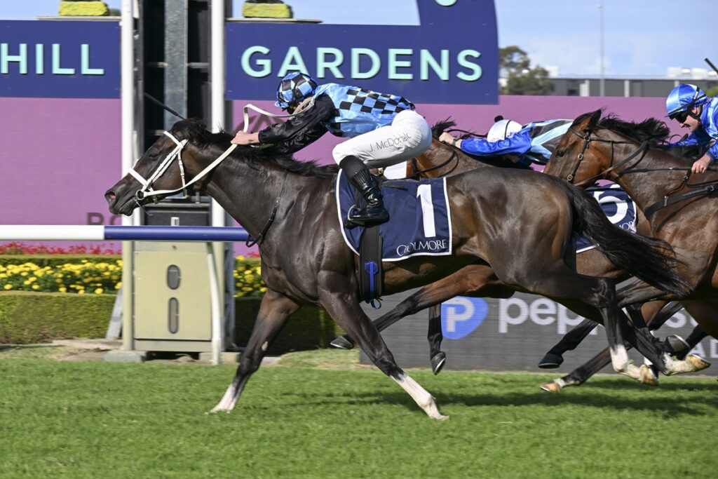 Lazzura the Queen of Rosehill after Coolmore Classic win